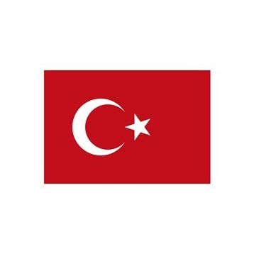 Yükselen 100x150 Bayrak