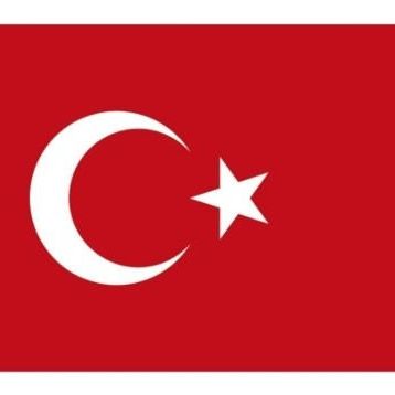 Yükselen 120x180 Bayrak