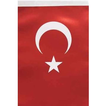 Yükselen 30x45 Bayrak