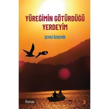 Yüreğimin Götürdüğü Yerdeyim - Şevki Özdemir