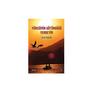 Yüreğimin Götürdüğü Yerdeyim - Şevki Özdemir