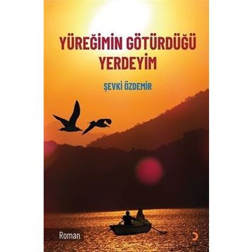 Yüreğimin Götürdüğü Yerdeyim - Şevki Özdemir