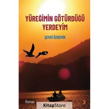 Yüreğimin Götürdüğü Yerdeyim - Şevki Özdemir