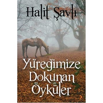 Yüreğimize Dokunan Öyküler - Halit Şavlı