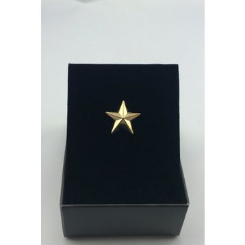 Zaim Aksesuar 312 Gold Yıldız Broş