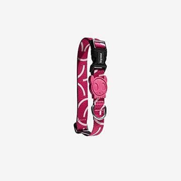 Zee.Dog Nara XS Boyun Tasması