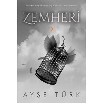 Zemheri - Ayşe Türk
