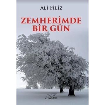 Zemherimde Bir Gün - Ali Filiz