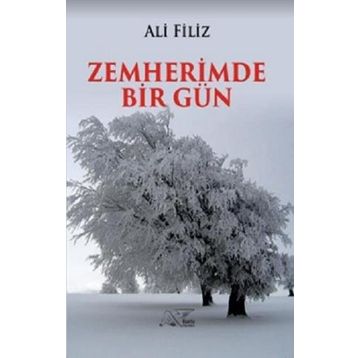 Zemherimde Bir Gün - Ali Filiz