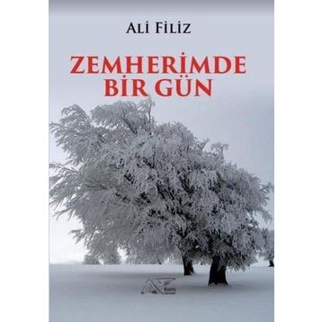 Zemherimde Bir Gün - Ali Filiz