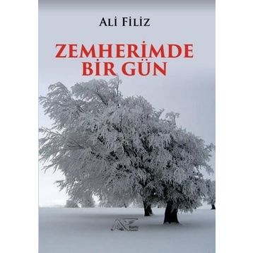 Zemherimde Bir Gün - Ali Filiz