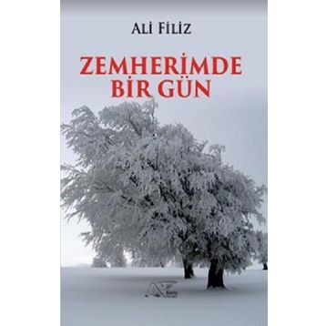Zemherimde Bir Gün - Ali Filiz