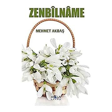 Zenbilname - Mehmet Akbaş