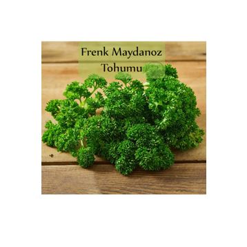 Zencefil Organik 10 gr Kıvırcık Frenk Maydanoz Tohumu