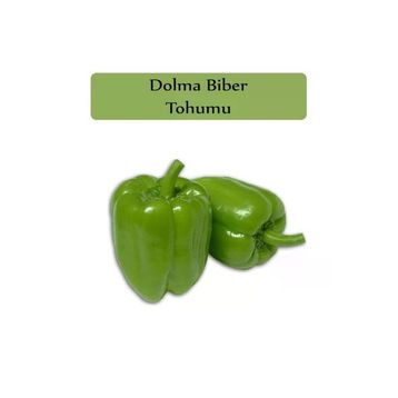Zencefil Organik 10x1000 Adet Kandil Dolma Biberi Tohumu