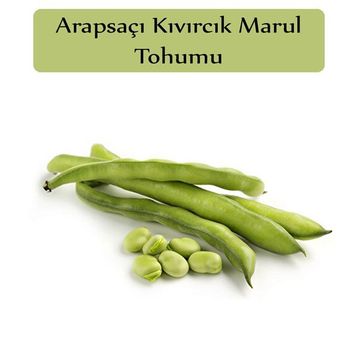 Zencefil Organik 25x20 Adet Yerli Bakla Tohumu