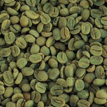 Zencefil Organik 500 gr Kavrulmamış Çiğ Çekirdek Yeşil Kahve