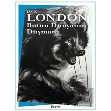 Zeplin Kitap Bütün Dünyanın Düşmanı