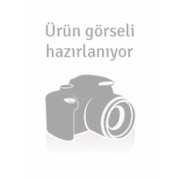 ZIHIN KUŞLARI - LEYLÂ ERBIL