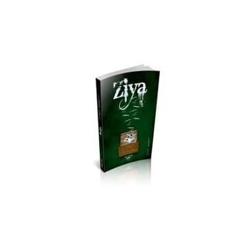 Ziya - İlber İdil