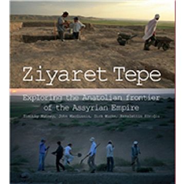 Ziyaret Tepe - Kollektif