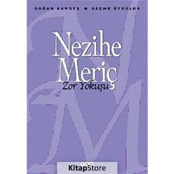 Zor Yokuşu Seçme Öyküler - Nezihe Meriç