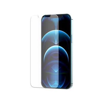 Zore Apple iPhone 12 Pro Max Araree Subcore Temperli Ekran Koruyucu