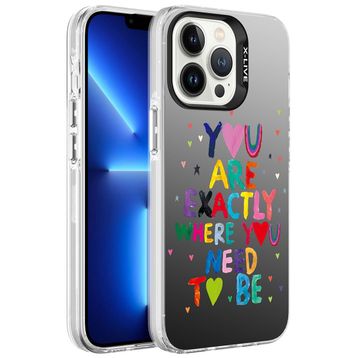 Zore Apple iPhone 13 Pro Desenli Silver Sert Kapak Kılıf