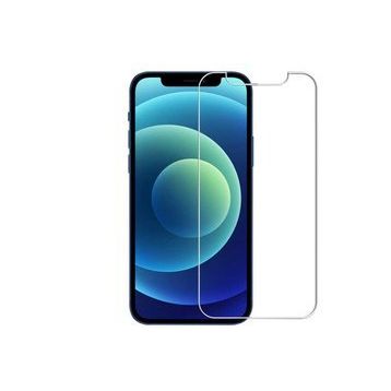 Zore Apple iPhone 13 Pro Nano Micro Temperli Ekran Koruyucu