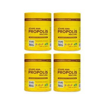 Zühre Ana Propolis Macunu