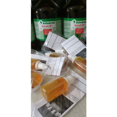 Röhnfried 30 ml Gervit W MultiVitamin Takviyesi