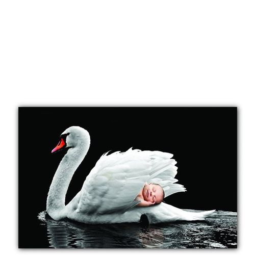 Www Cimri Com Tul Perde En Ucuz Demirhan Perde Ekru Zincir Desen 0x260 Cm Tul Perde Fiyatlari 21 11 19 Daily 0 5 Www Cimri Com Tul Perde En Ucuz Demirhan Perde Ekru Zincir Desen 375x270 Cm Tul Perde Fiyatlari