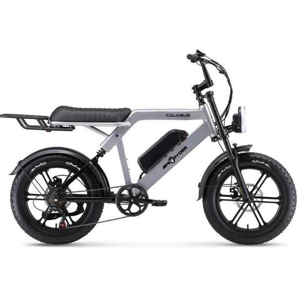 Ape Ryder Colobus Premium 750 W Elektrikli Bisiklet