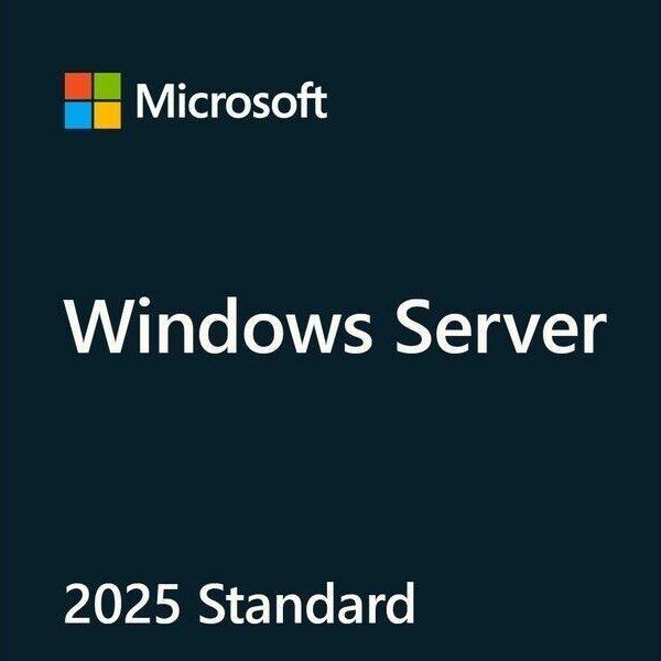 HPE P77100-A21 2025 Standart ROK Windows Server