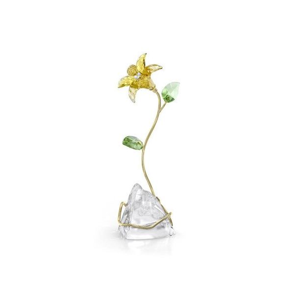 Swarovski 5666972 Florere Lily Ev Dekorasyonu