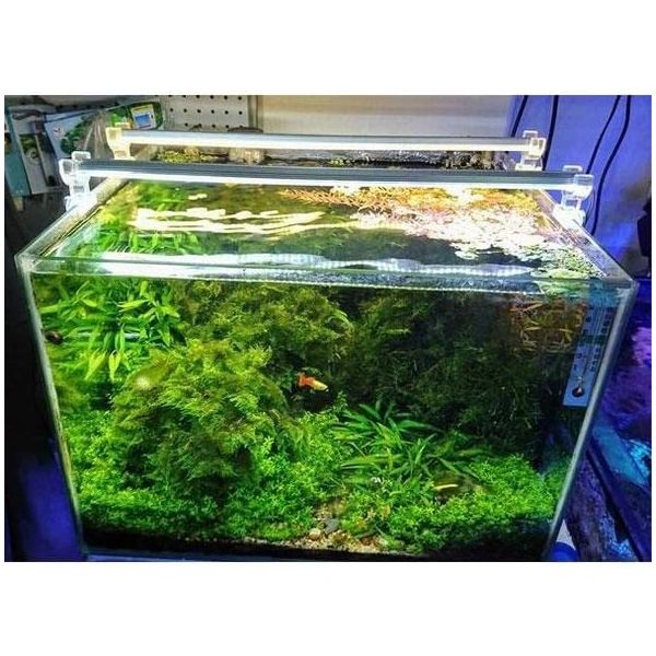 OrionLed Daylight 50 cm 3000K Akvaryum Led Aydınlatma