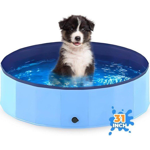 Pawise 81x8 inç Dış Mekan Katlanabilir Köpek Havuzu