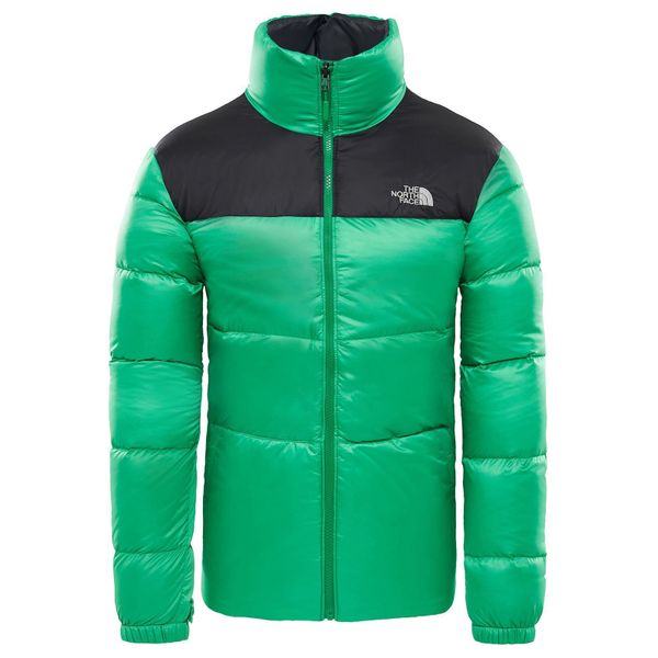The North Face T933IT6XA Yeşil Erkek Outdoor Mont