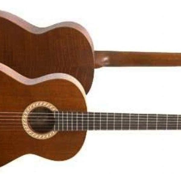 Valencia CGLTD2 Klasik Gitar