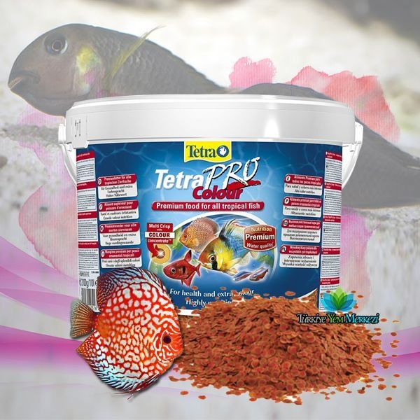Tetra 10 lt Pro Colour Kova Balık Yemi