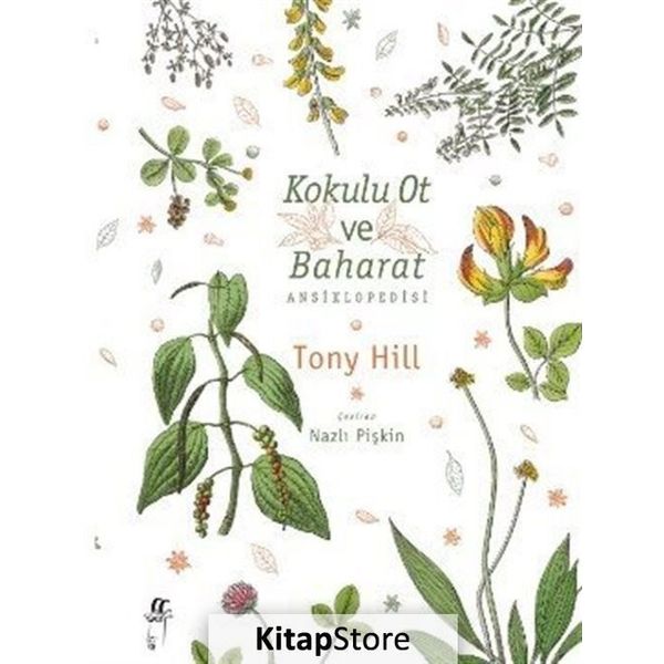 Kokulu Ot ve Baharat Ansiklopedisi - Tony Hill