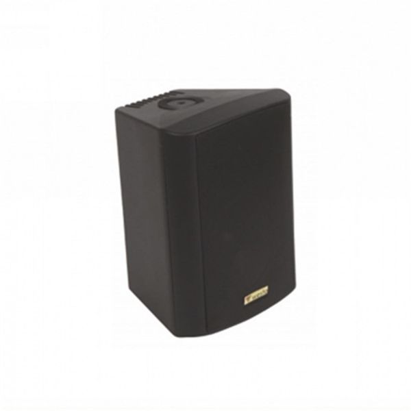Westa WS-5TB Duvar Hoparlörü