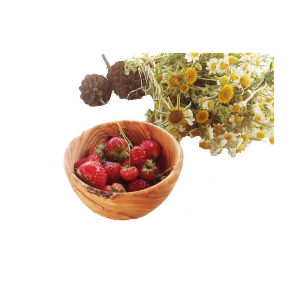 Egedeneve Zeytin Ağacı 12cm Düz Kase