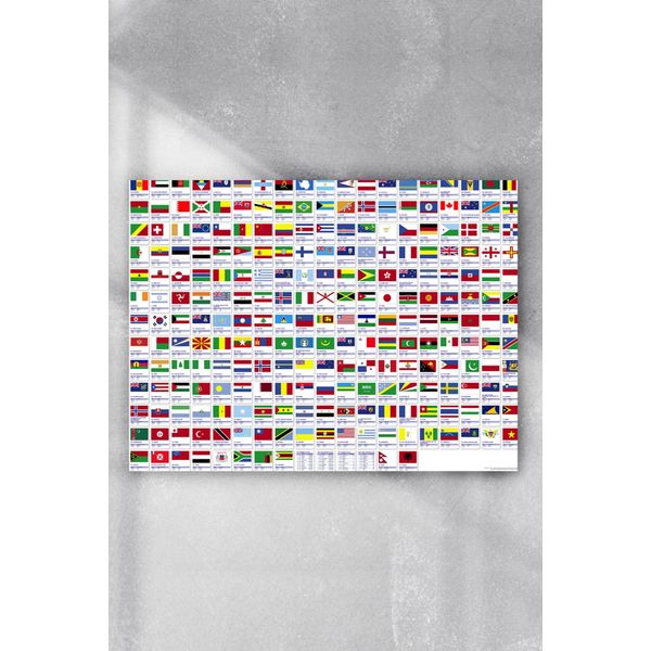 Postermanya Ülke Bayrakları Eğitim 40x60 cm Poster
