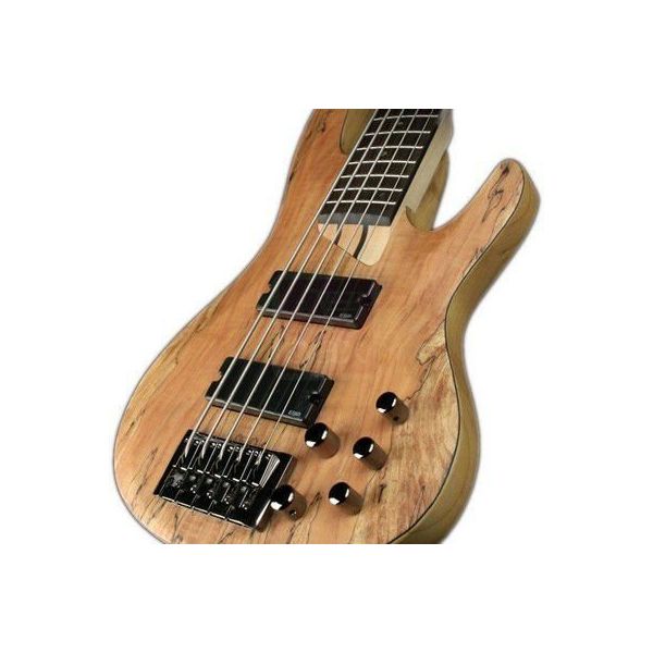 ESP LTD LB205SMNS Bass Gitar
