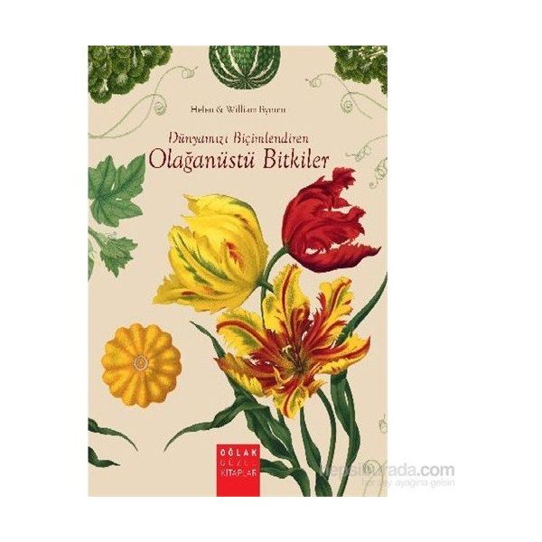 Dünyamızı Biçimlendiren Olağanüstü Bitkiler - William Bynum Helen Bynum