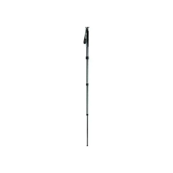 Gitzo GM2541 Monopod