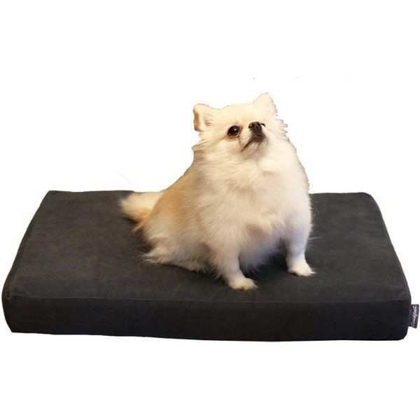 CecePet Arya Serisi 60x45 cm Ortopedik Premium Kedi ve Köpek Yatağı Small