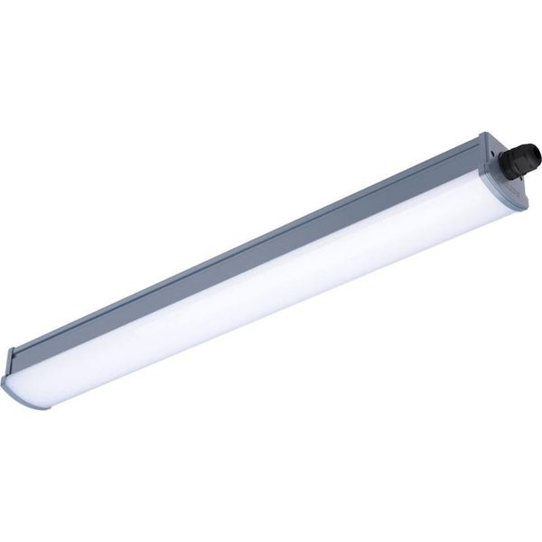 Philips WT066C 40W Led Etanj Armatür