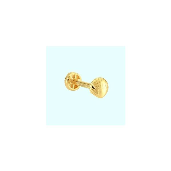 Sembol Gold 14 Ayar Altın İstiridye Tragus Piercing